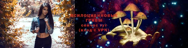 амфетамин Алексеевка