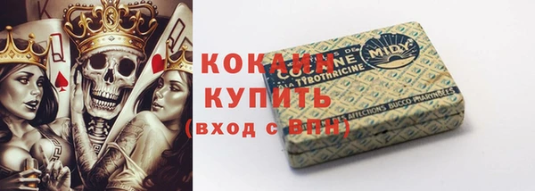 индика Наволоки