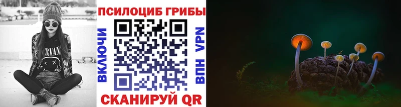 Псилоцибиновые грибы прущие грибы  Томари 
